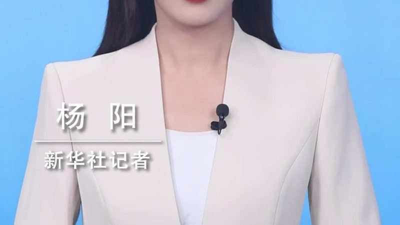 科技服务外包解决方案：企业数字化转型的新引擎